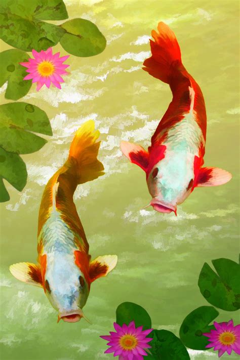 Koi Fish Hd Wallpapers For Mobile Carrotapp