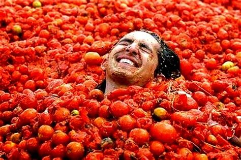 The Flying Tortoise La Tomatina What Fun You Can Have