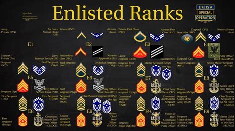 Military dog tags rank insignia charts united states army. US Military (All Branches) Enlisted Ranks Explained - What ...
