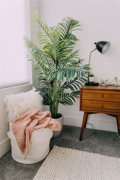 32 Office Plants Youll Want To Adopt