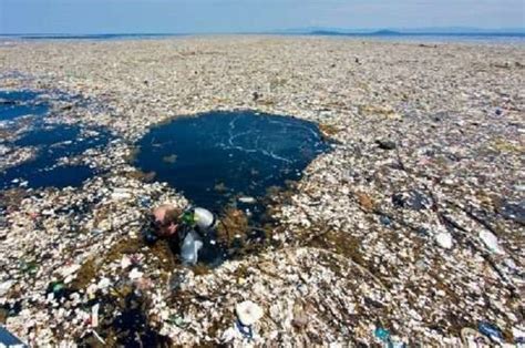 Laut Dunia Darurat Sampah Plastik Indonesia Turut Menyumbang Semua