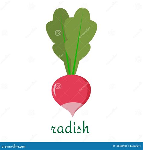 Radish Icon In Flat Style Isolated On White Background Stock Vector