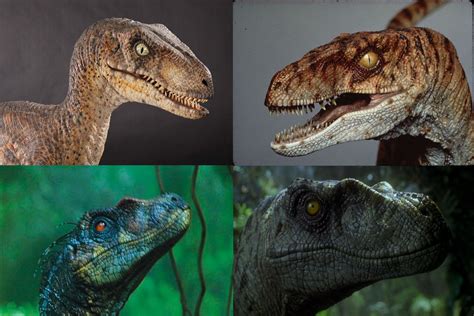 Velociraptor Nublarensis Clockwise From Top Left A Nubla Raptor A