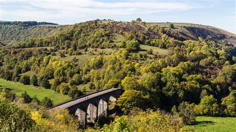 How To Plan A Fall Foliage Getaway To Englands Forest Of Dean Condé