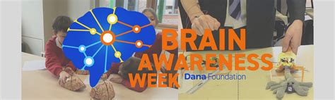 Brain Awareness Week Projects Ideas And Support