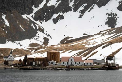 Ultimate Guide To Travelling To Grytviken South Georgia
