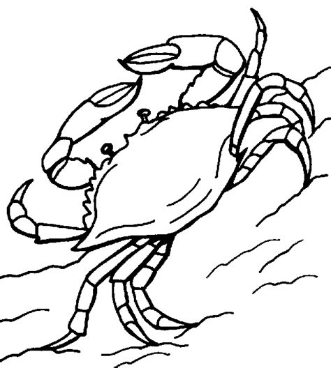 Crab Black And White Clipart Clipart Best