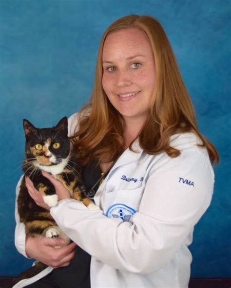 Arlington pet hospital pllc ⭐ , united states, arlington, 11065 hwy 70: My Pet's Animal Hospital - Knoxville, Tennessee | Facebook