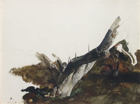 The Work Of Andrew Wyeth
