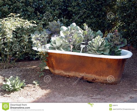 Find innovative ways to incorporate traditional, contemporary, and vintage how to clean a bathtub. Bathtub Garden stock image. Image of planter, produce ...
