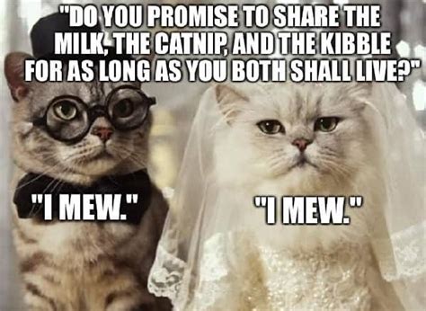 30 Funny Wedding Memes For The Bride And Groom Sheideas