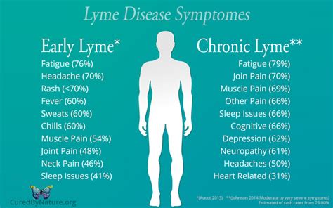 Lyme Disease And Its Effects On The Tw