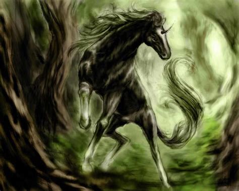 Pick from over 600 beautiful and fantastical unicorn pictures, images and vectors. Unicorn HD Wallpapers, Pictures, Images
