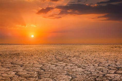When energy from the sun is reflected off the earth and back into space (mostly by clouds and ice), or when the. Loss of animal or plant species to climate change causes ...