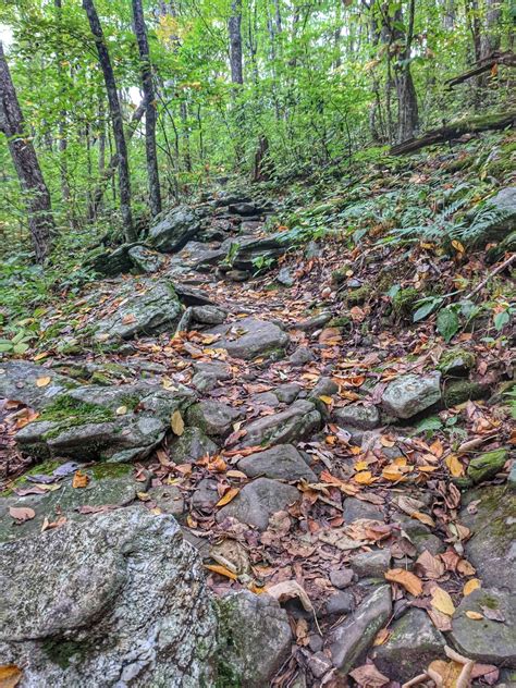 Hiking the AT in GA. | Camping locations, Best camping ...