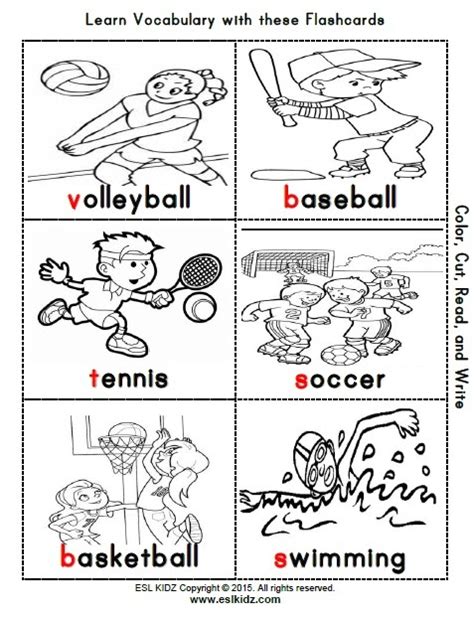 Sports Worksheets For Preschoolers Sports Addition Worksheet
