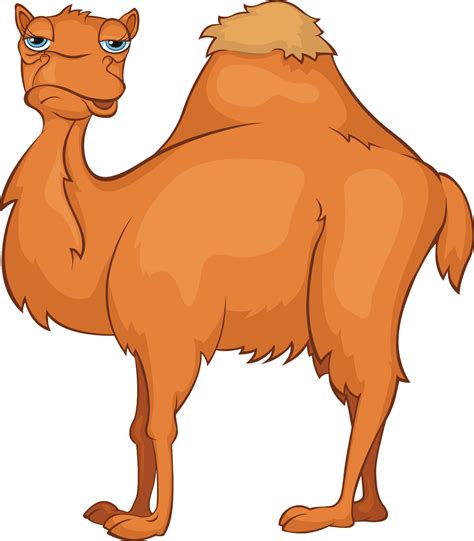 Camel Cliparts Cartoon Pictures Of A Camel Cliparts And Cartoons Jingfm Images And Photos Finder