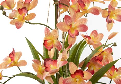 Hängende Cymbidium Orchidee Orange 80 Cm