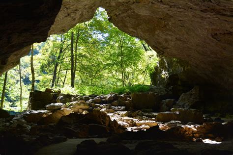 Maquoketa Caves State Park Field Trip Iowa