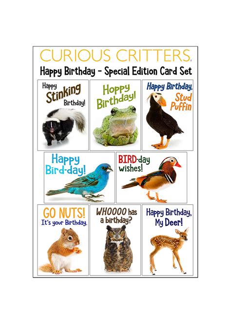 Birthday Card Value Pack Save 7 Curious Critters