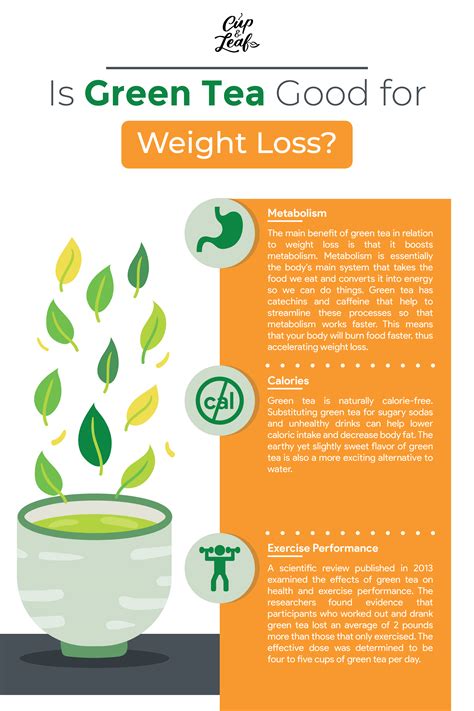 Is Green Tea Good for Weight Loss? Get the Facts - Cup & Leaf