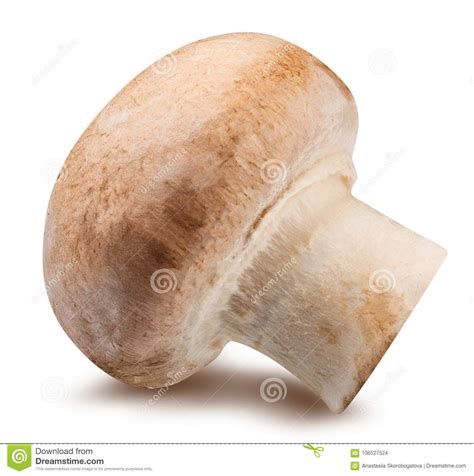 Mushroom Isolated On White Background Stock Photo Image Of Delicious