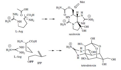 Saxitoxin And Tetrodotoxin Alkaloids From Plants Medicinal Herbs Botany