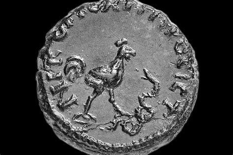 Coins | Serpentarium Mundi: Iconography of Snakes ... Each icon is in a different style which range from painterly to vectored.