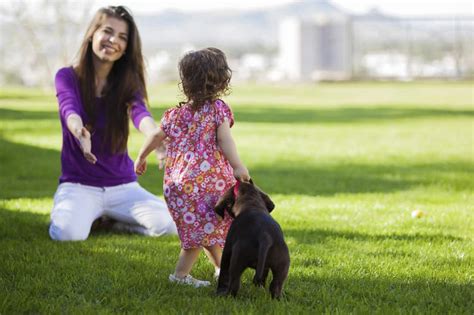 Devices are equipped with advanced and modernized features that improvise superior technologies to repel these pests from entering your houses or any. Lawn, Tree & Yard Service | Buffo's Termite & Pest Control