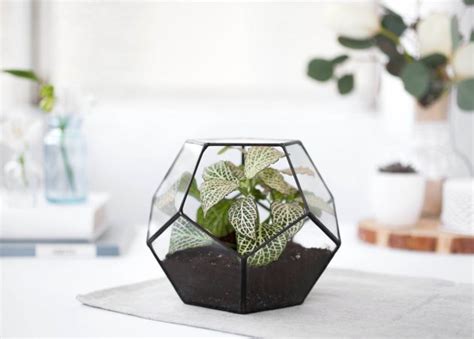 16 Stunning Geometric Planter Designs For The Perfectionist In You