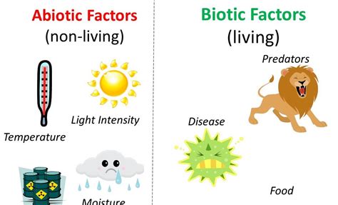 Biotic Factors Around An Ecosystem