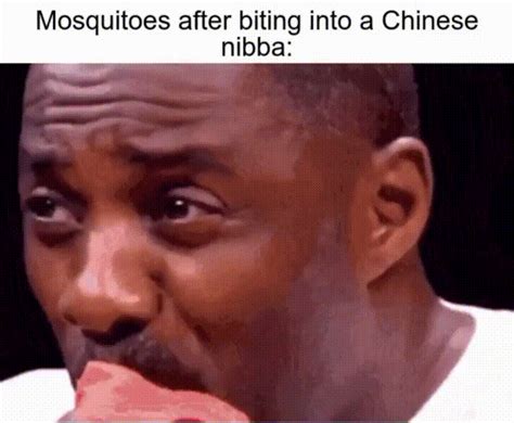 Even Mosquitoes Are Afraid  On Imgur