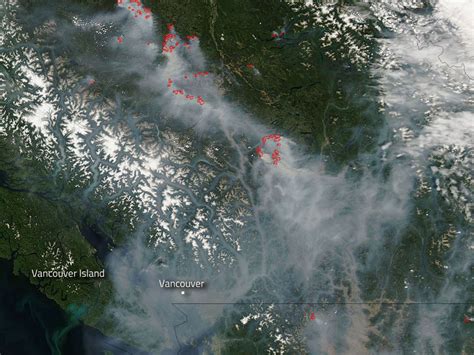 The 2020 wildfire season in british columbia has been quieter than anticipated, with 637 wildfires bc community forests have emerged as leaders in addressing wildfire risk around communities and. Canadian wildfires are so bad you can see them from space ...
