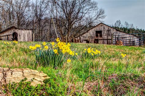 Barn In Springtime Photograph By Bobby Hicks Fine Art America
