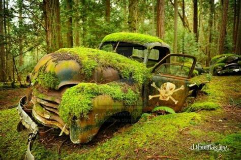 amazing picture mossy chevy truck abandoned cars old trucks abandoned