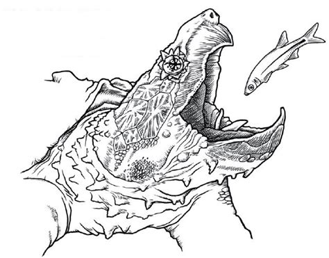Free printable turtle coloring page and download free turtle coloring page along with coloring pages for other activities and coloring sheets. Alligator Snapping Turtle coloring, Download Alligator ...