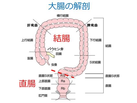 書籍絶賛発売中!★ 2019年11月30日 一巻 2020年6月30日 二巻. 住友別子病院｜外科