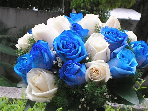 Bouquet De Rosas Azules Y Blancas Adornadas Con Pino Ming Y