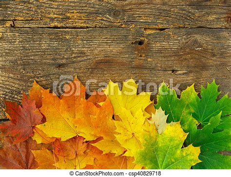 Red Yellow And Green Maple Leaves On Old Wooden Background Autumnal