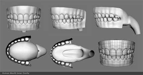 Mouth Inner Cavity 3d Model Cgtrader