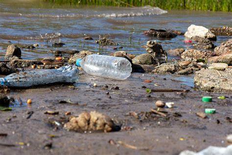 Диета из хлеба и воды Загрязнение воды: причины, источники, последствия и пути решения Загрязнение воды: причины, источники, последствия и пути решения Диета из хлеба и воды