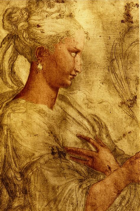 Parmigianino | Mannerist | Drawings | Tutt'Art@ | Pittura • Scultura