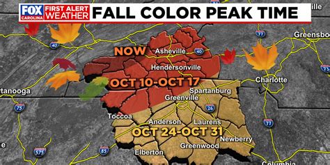 The Science Behind Fall Foliage