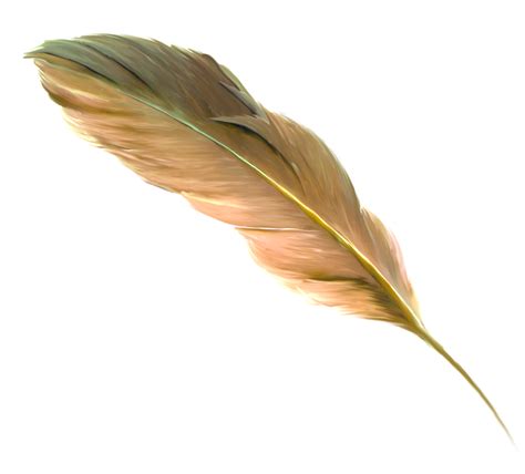 The Floating Feather Brown Brown Feathers Png Download 19521763