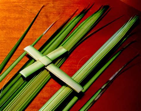The feast commemorates jesus' triumphal entry into jerusalem. A Concord Pastor Comments: Homily for Palm Sunday 2014