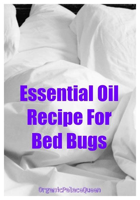 Essential Oil Bed Bug Spray Recipe Organic Palace Queen Bed Bugs