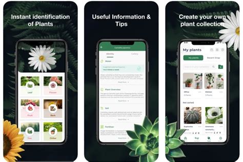 The Best Gardening Apps For 2022 Digital Trends