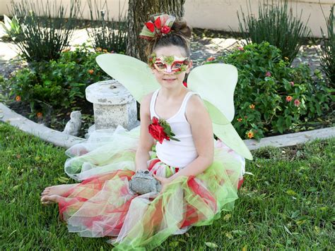 Homemade Adult Fairy Costumes Photos