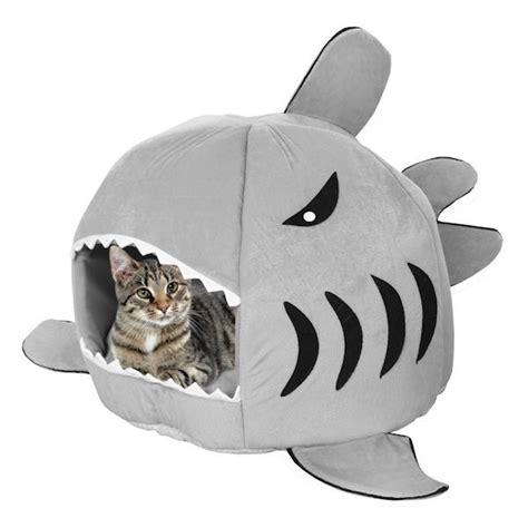 Find Theres Nothing Cuter Than Watching Your Kitty Sleep In A Sharks