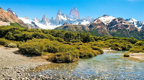 Wildlife Holidays in Argentina for 2020/21 - Naturetrek